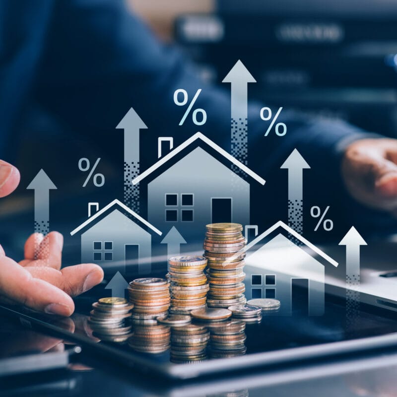loi finance 2025 patrimoine